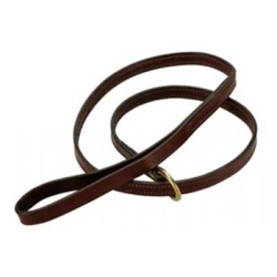 Dog Leads